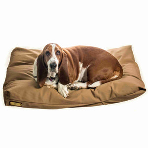 Bloodhound dog on a yellow medium dog bed on a white background.