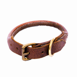 Fireside hound rolled leather dog collar on a white background