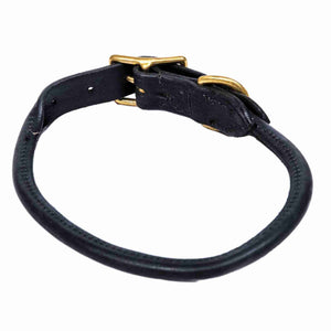Fireside hound rolled leather dog collar on a white background