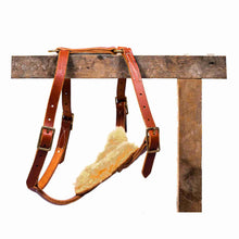 Load image into Gallery viewer, y-front leather dog harness hanging on display on a white background
