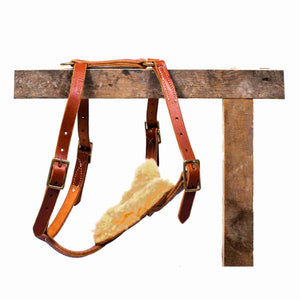 y-front leather dog harness hanging on display on a white background